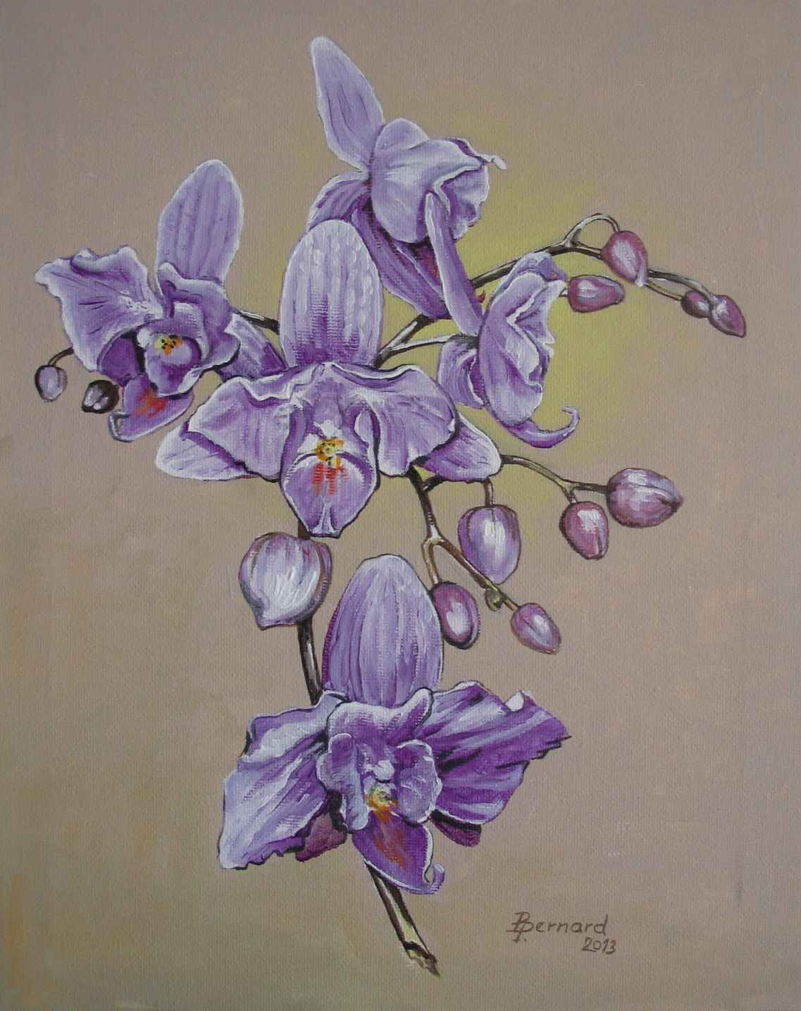 orchidea 4 